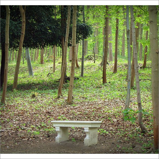 Frame overview