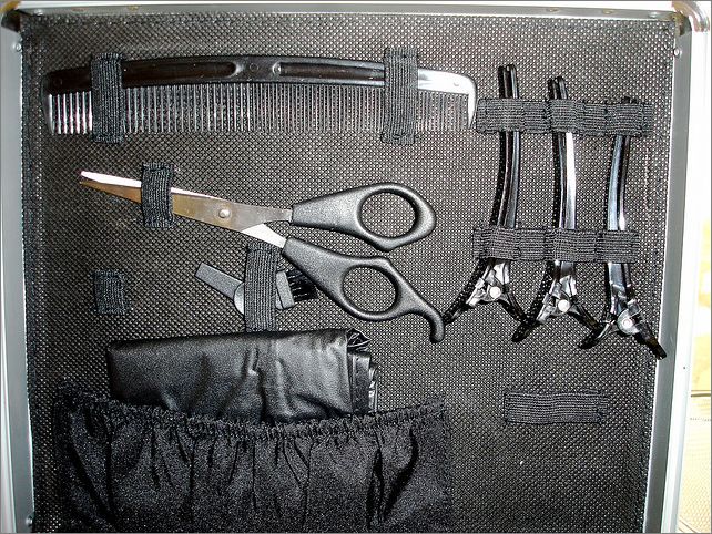 Frame overview