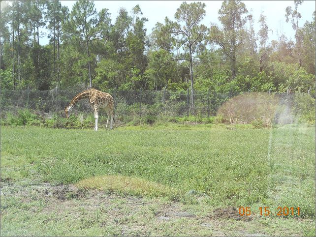 Frame overview