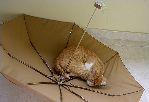 Frame overview