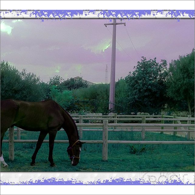 Frame overview