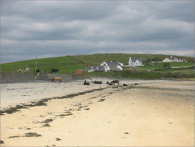 Frame overview