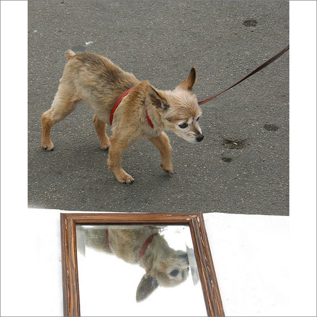 Frame overview