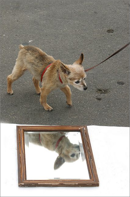 Frame overview