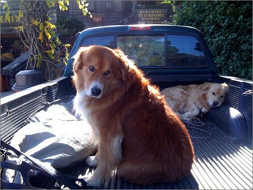 Frame overview