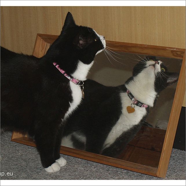Frame overview