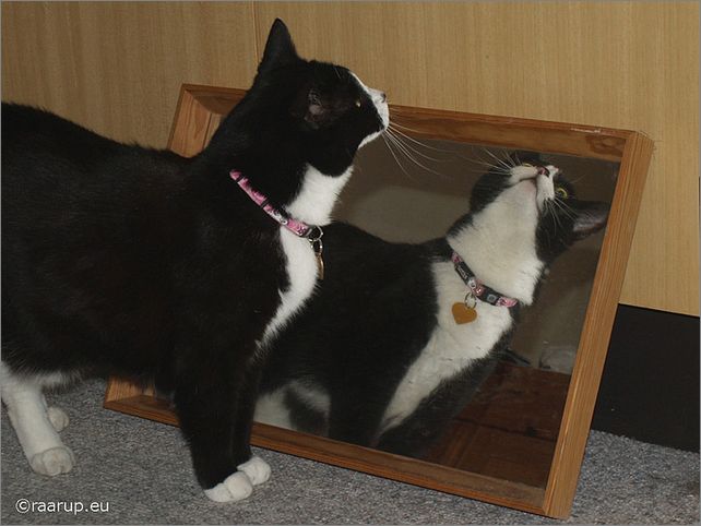 Frame overview