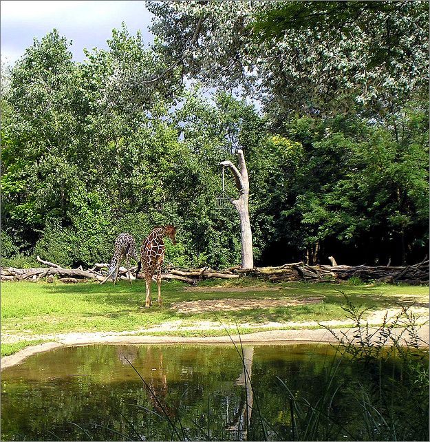 Frame overview