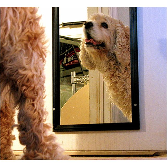 Frame overview