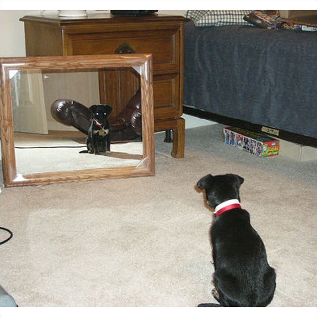 Frame overview