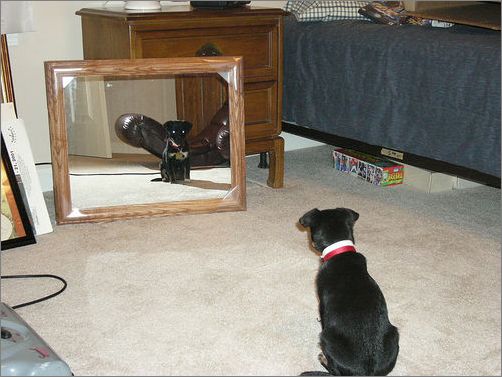 Frame overview