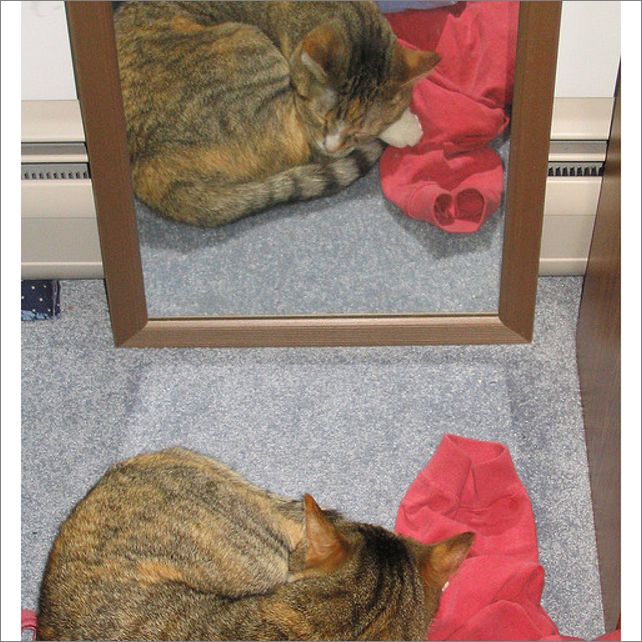 Frame overview