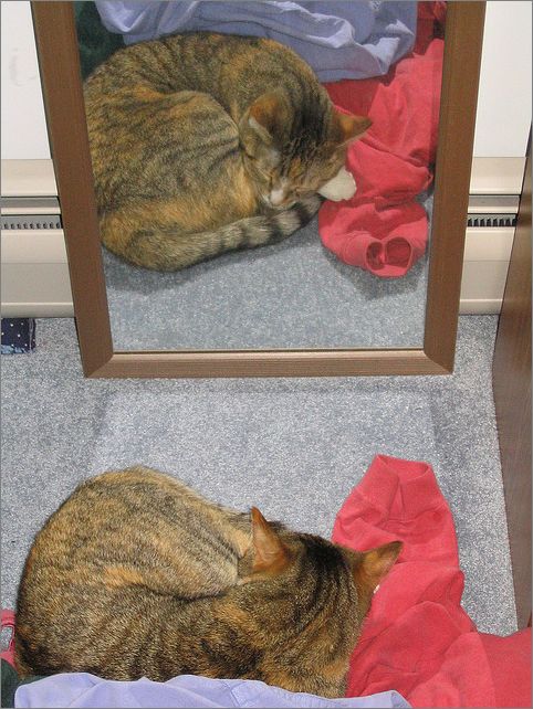 Frame overview