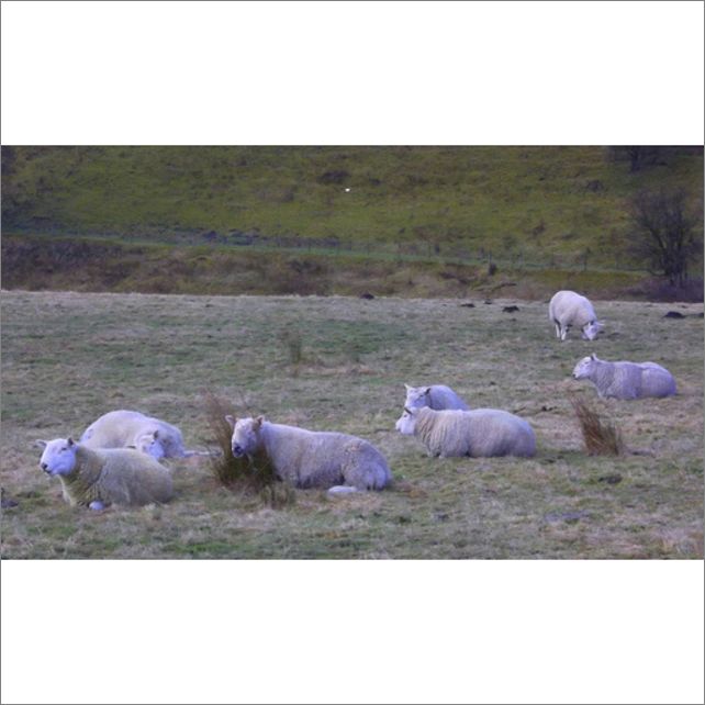 Frame overview