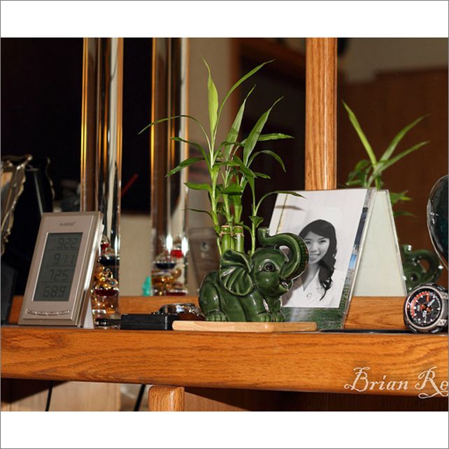 Frame overview