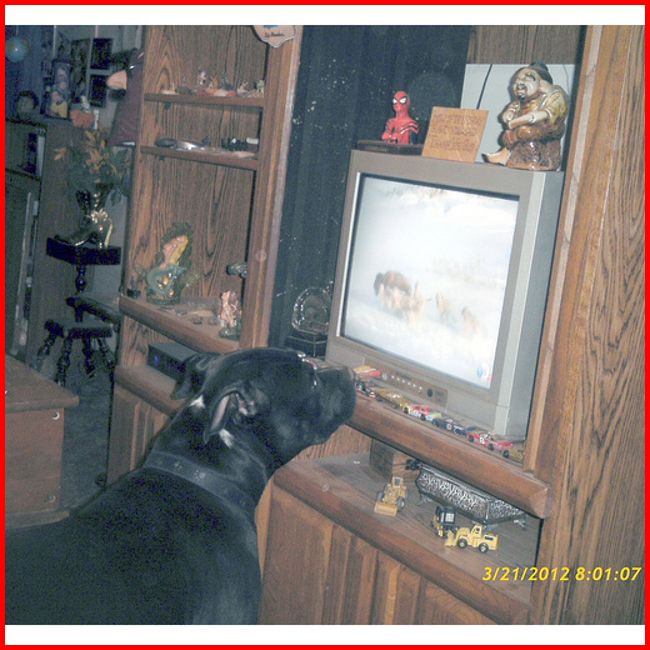 Frame overview