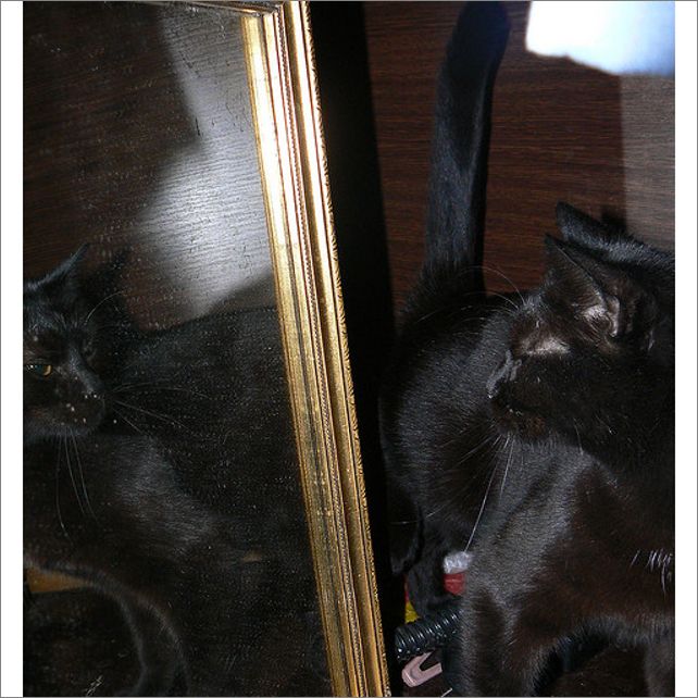 Frame overview