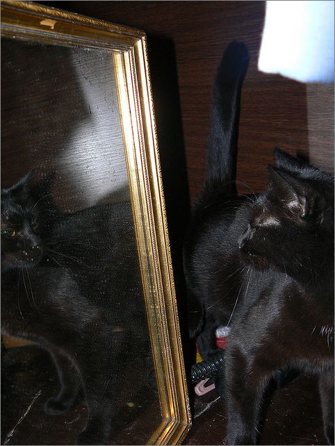 Frame overview