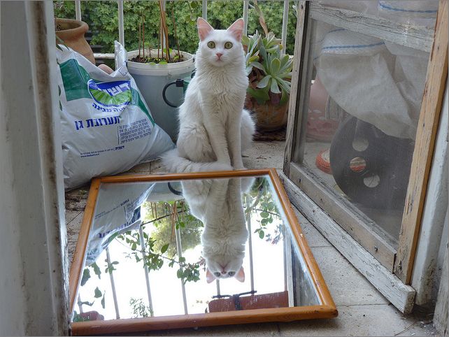 Frame overview
